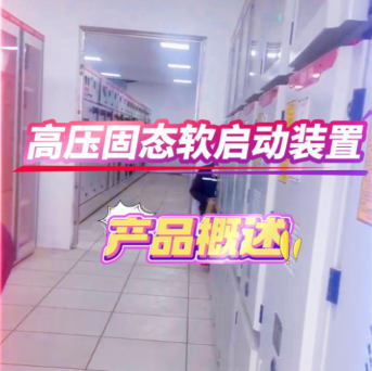 高壓固態(tài)軟起動(dòng)裝置 高壓固態(tài)軟起動(dòng)柜